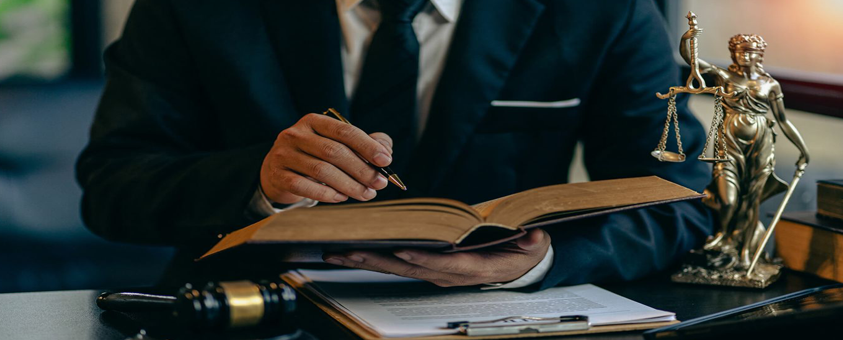 Civil Litigation Services