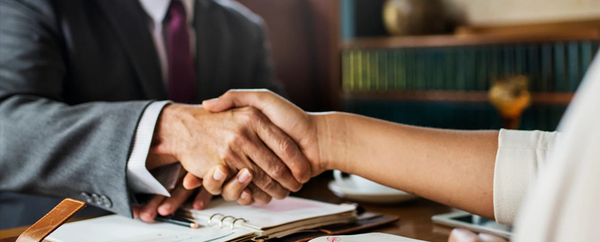 Civil Litigation Services