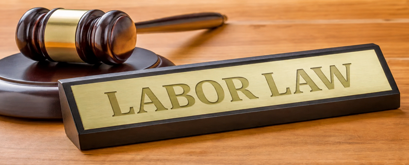 Civil Litigation Services